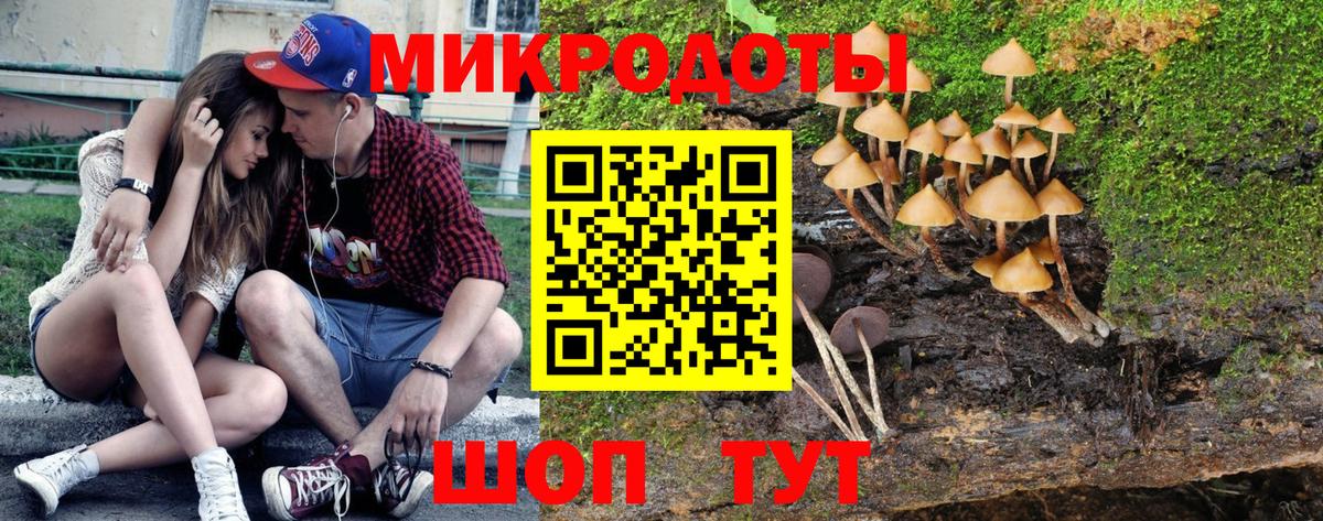 Галлюциногенные грибы Psilocybe  Вход с VPN  купить закладку  Ухта  Галлюциногенные грибы Psilocybine cubensis 